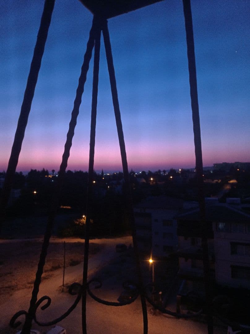 Gul K. iş fotoğrafı 2