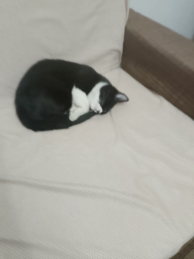 İlknur A. iş fotoğrafı 1