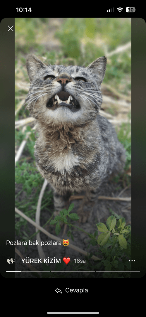 Oglay S. iş fotoğrafı 1