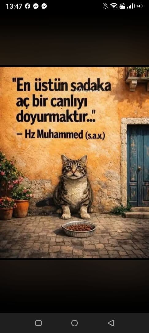 Feruza M. iş fotoğrafı 1