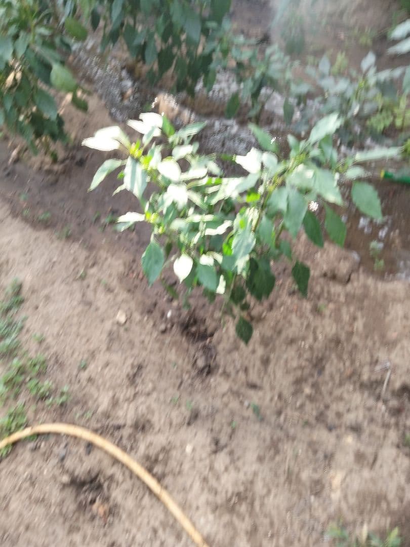 Emin K. iş fotoğrafı 3
