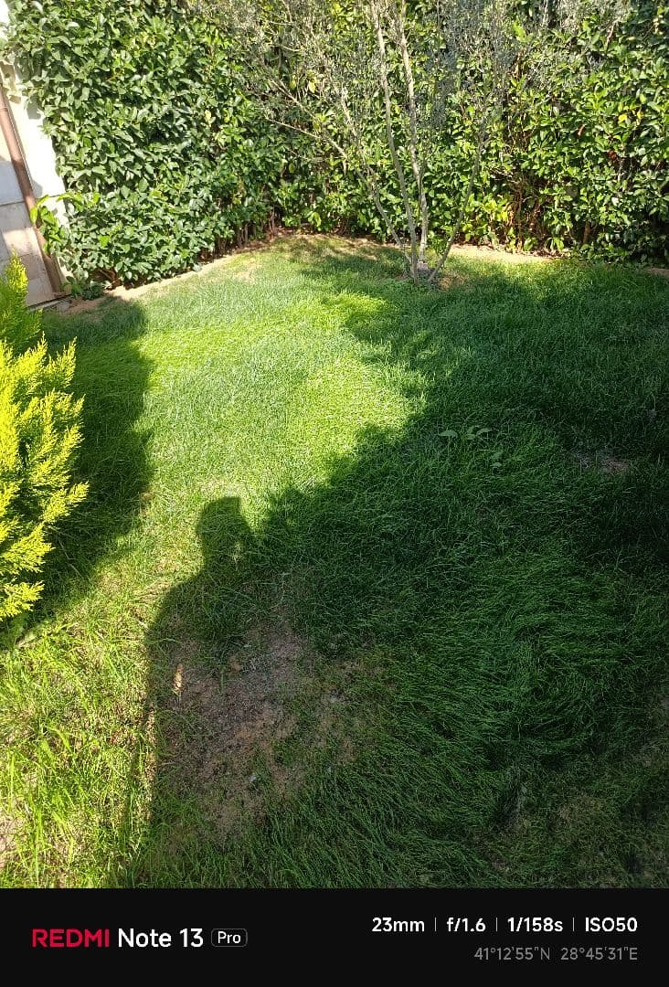 Mehmet A. iş fotoğrafı 2